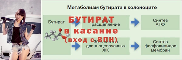 крисы Белокуриха