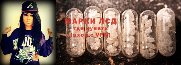 крисы Белокуриха